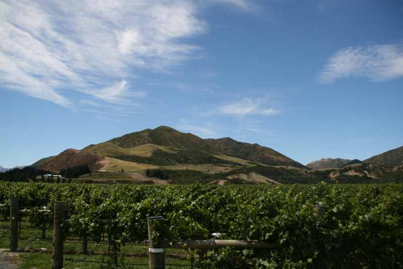 Nieuw-Zeeland 2011 - 1280